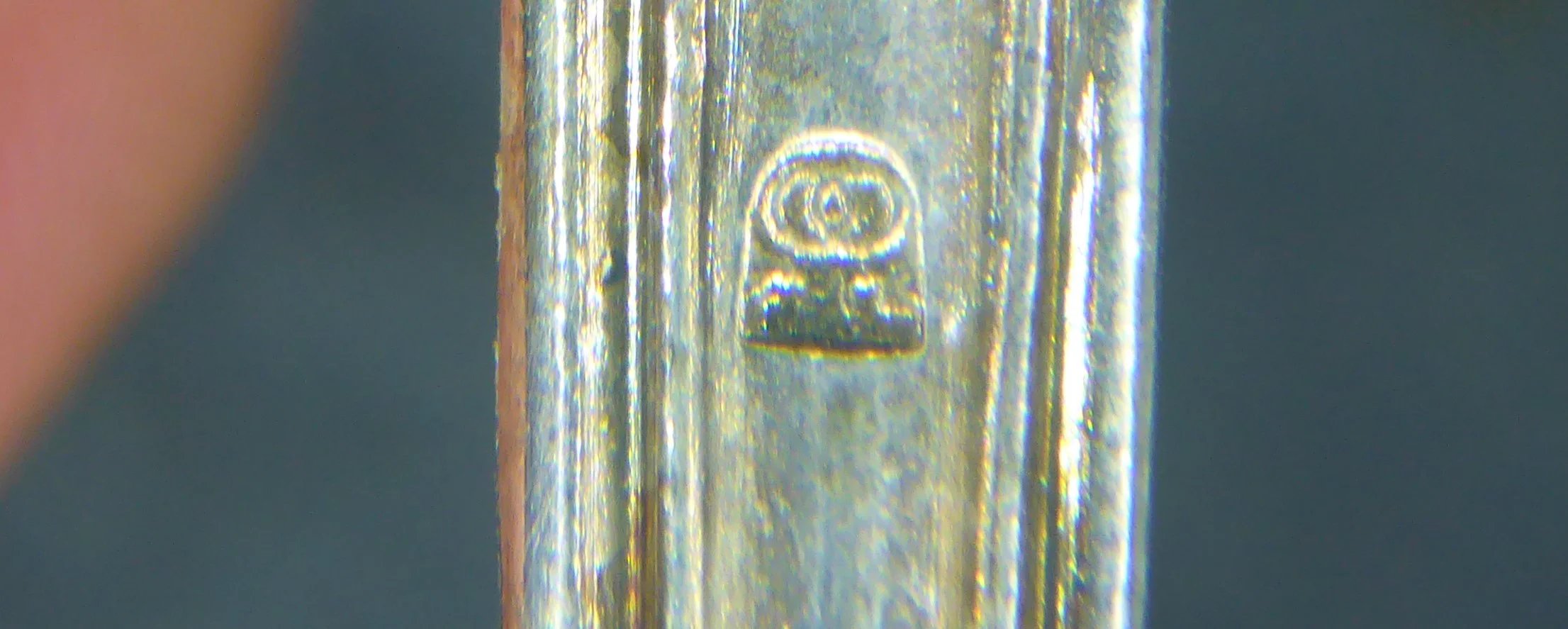 P1110857.JPG
