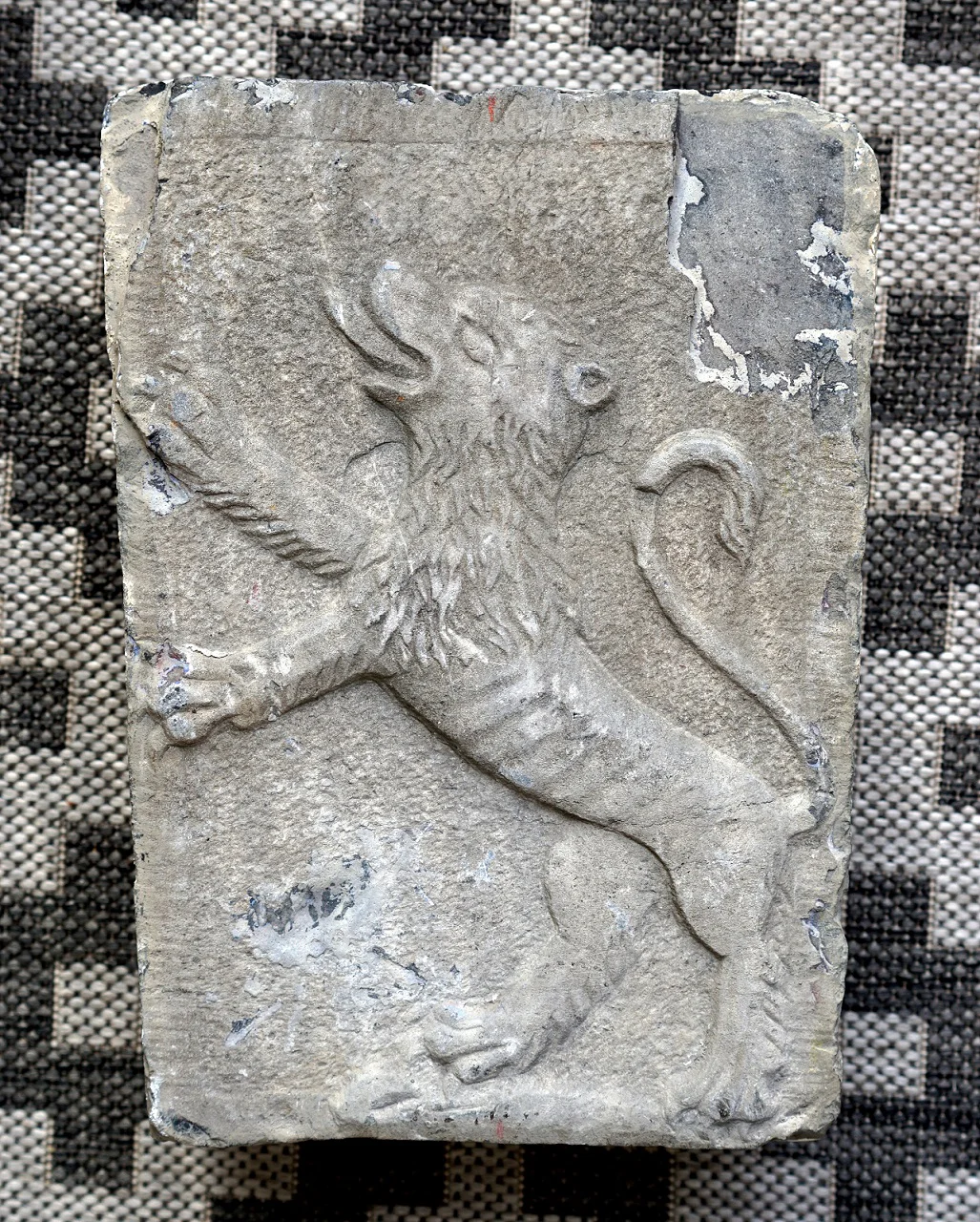 DSC02825k.jpg