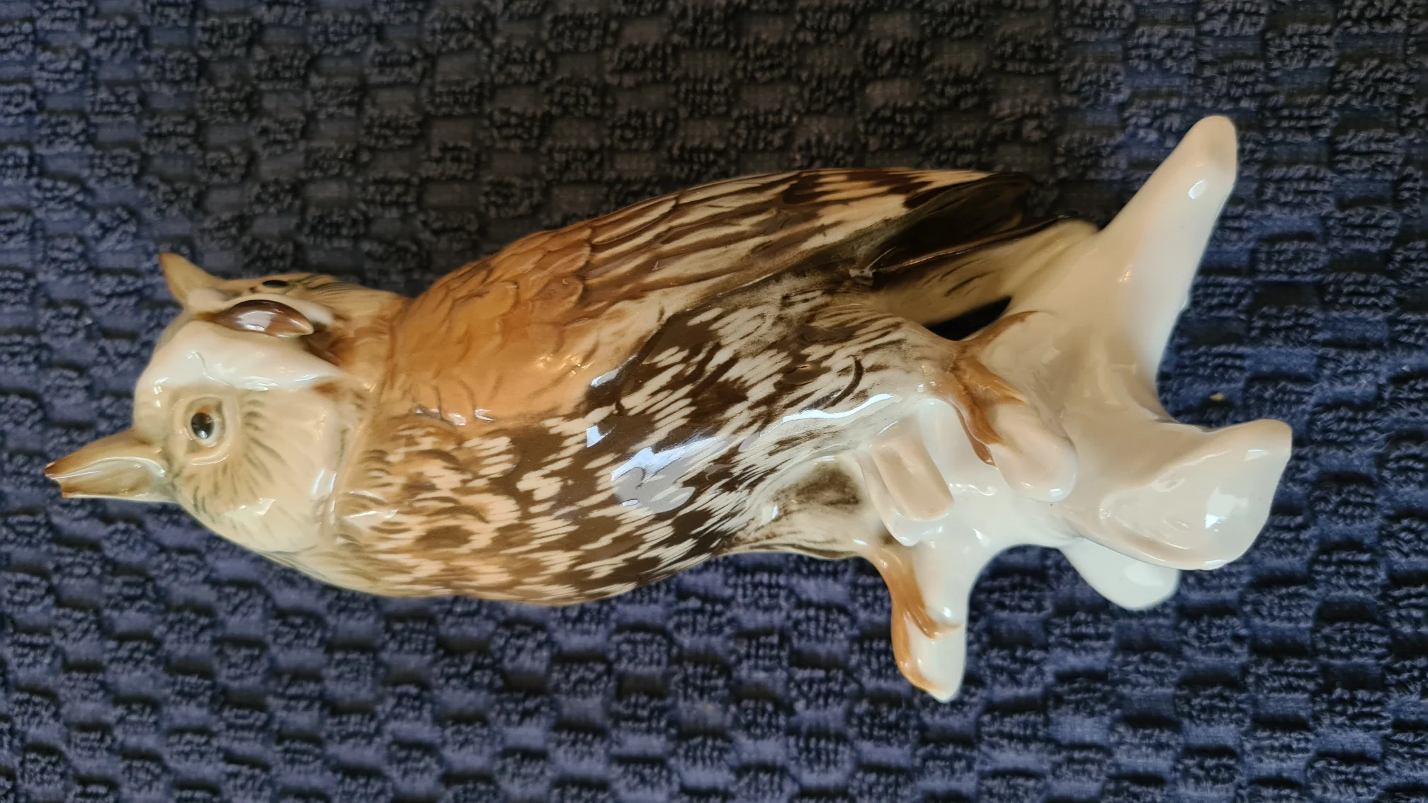 20220120_160438.jpg