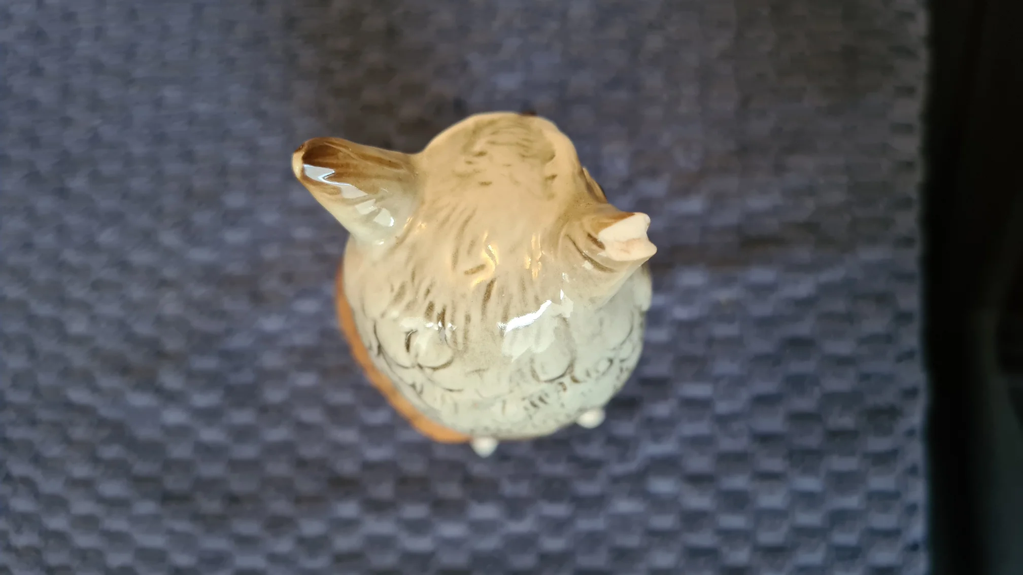 20220120_160456.jpg