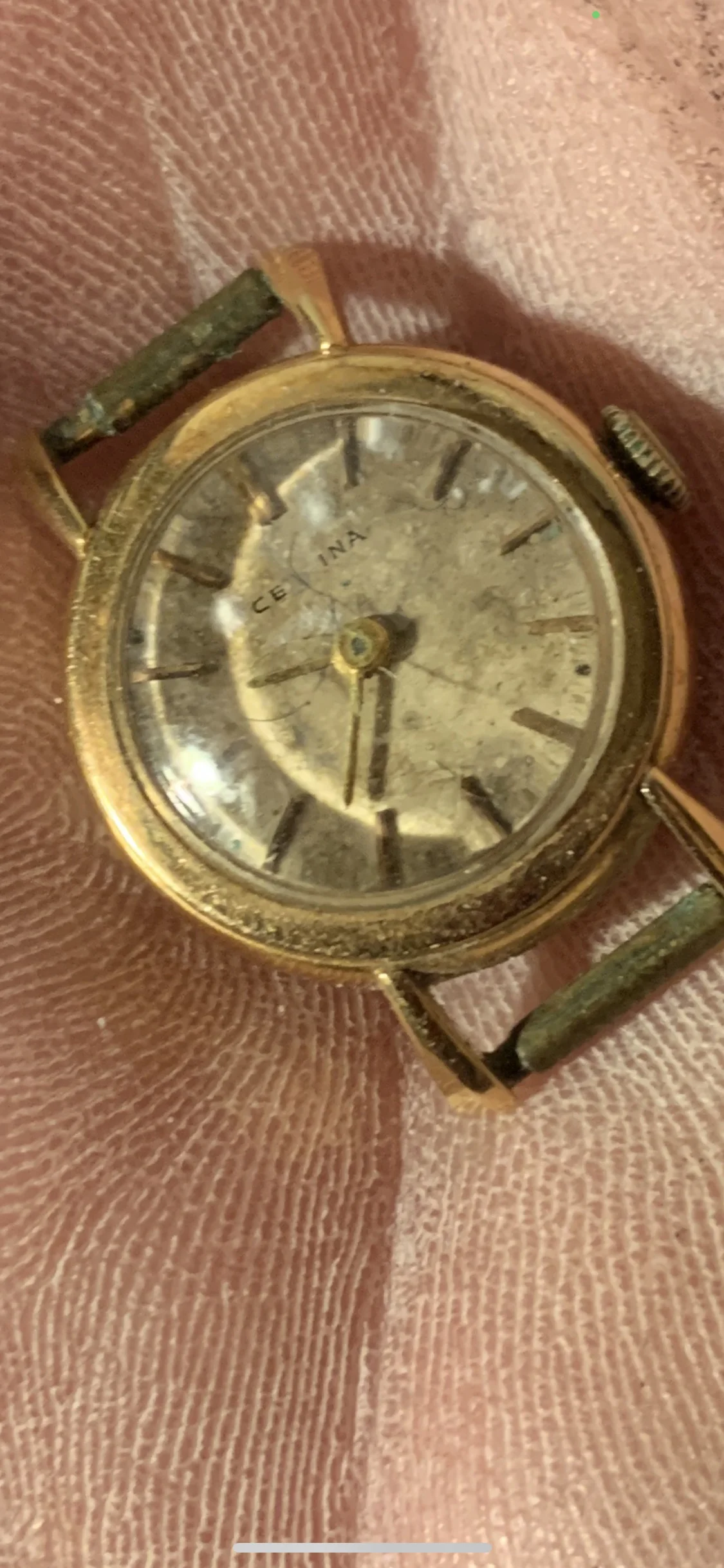 4FF48531-119E-4D8C-9E02-5229053CB031.jpeg