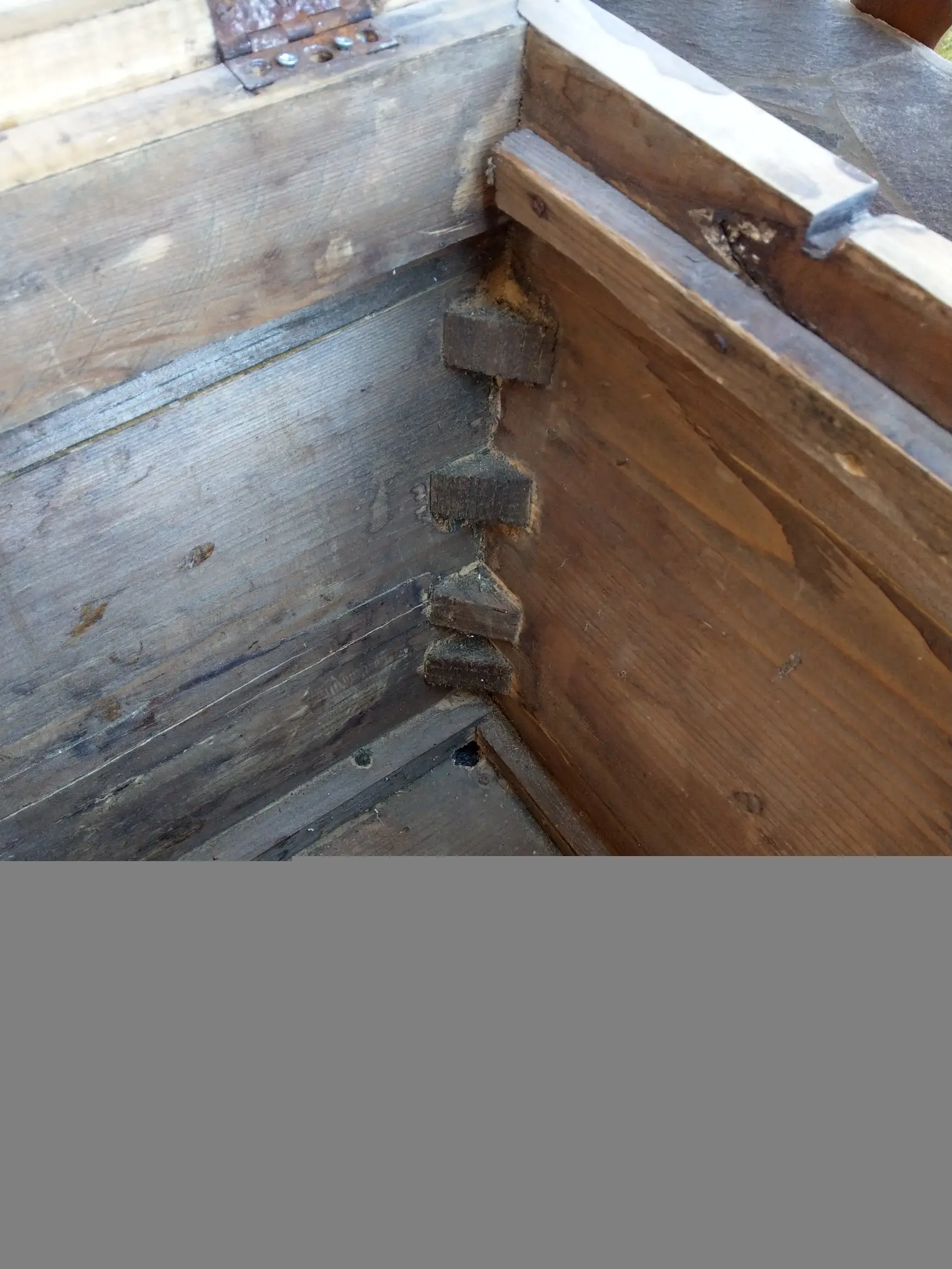 IMAG0772.jpg