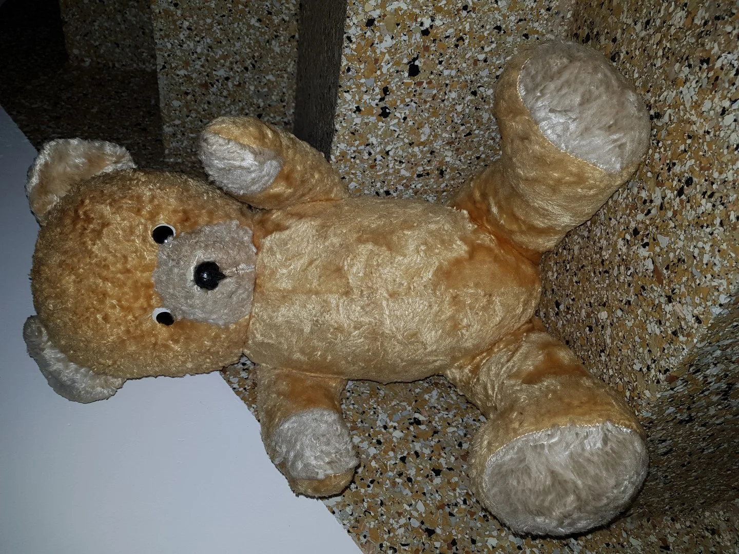 teddy1.jpg