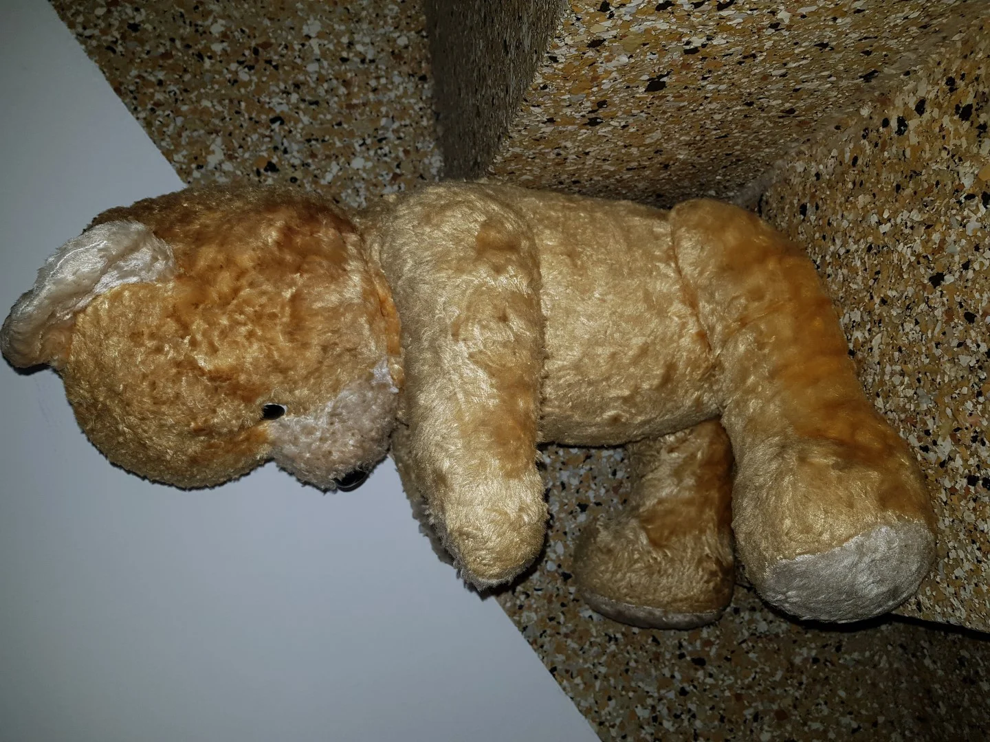 teddy3.jpg