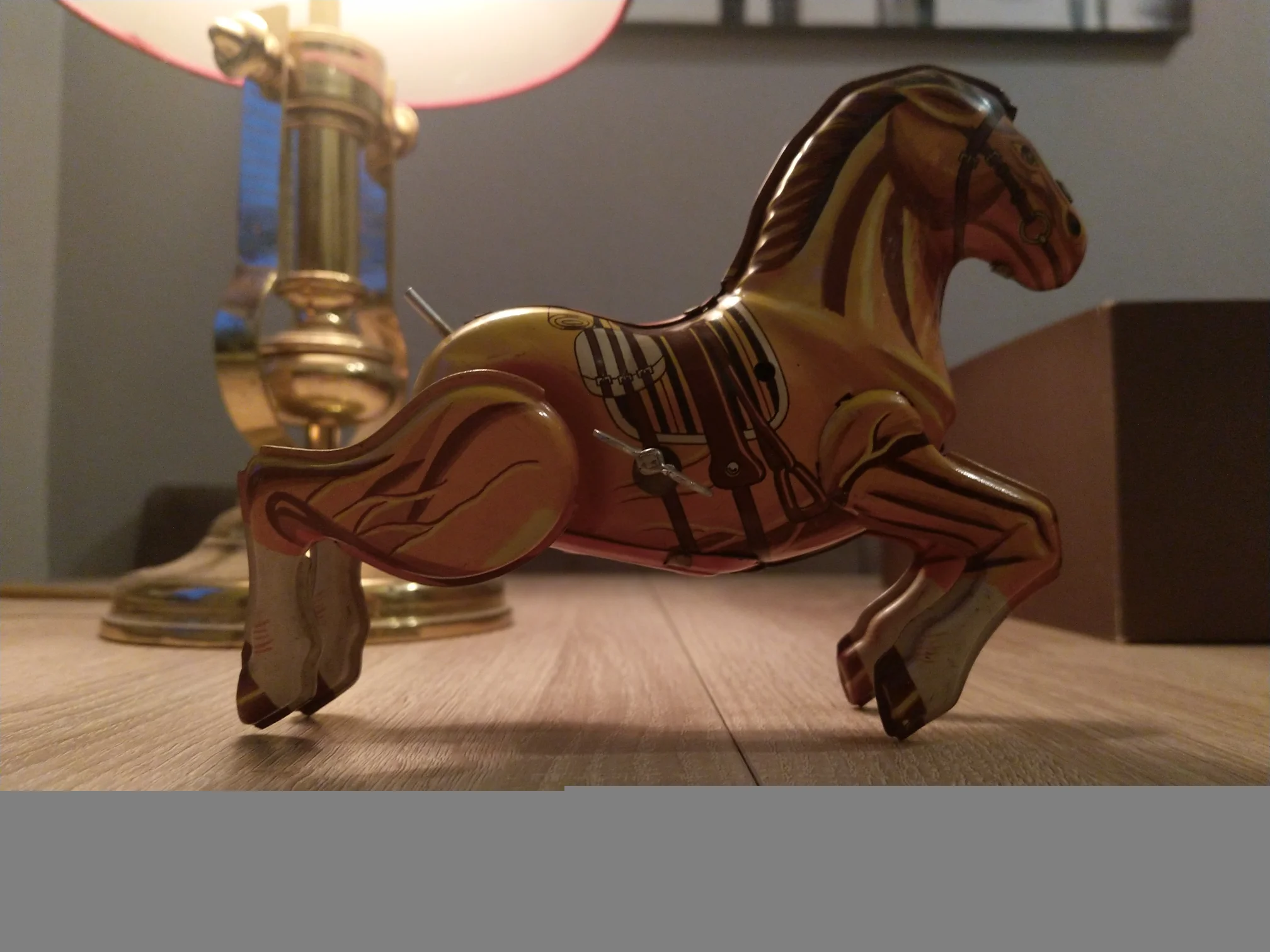 MVIMG_20220402_200101.jpg