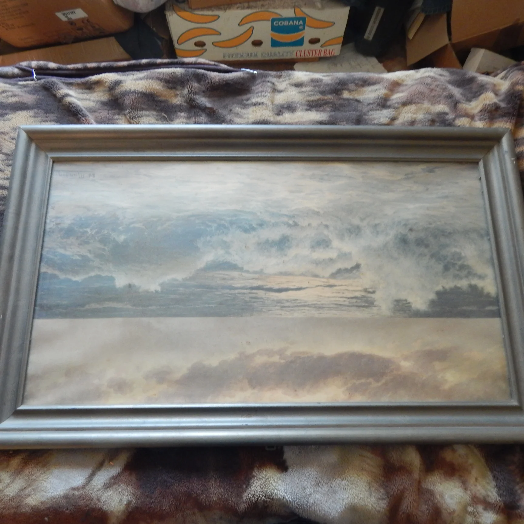 DSCN4266.JPG
