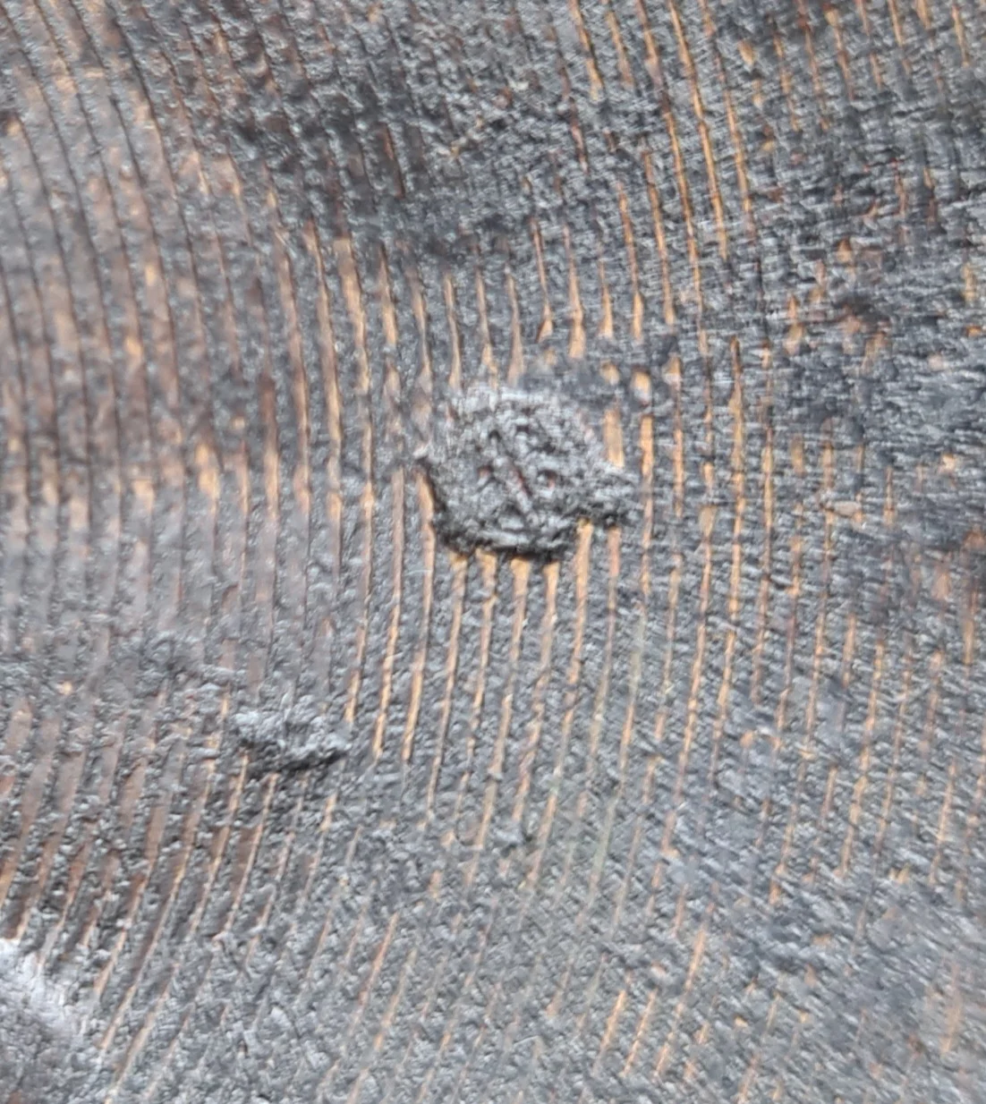 20220526_113035.jpg
