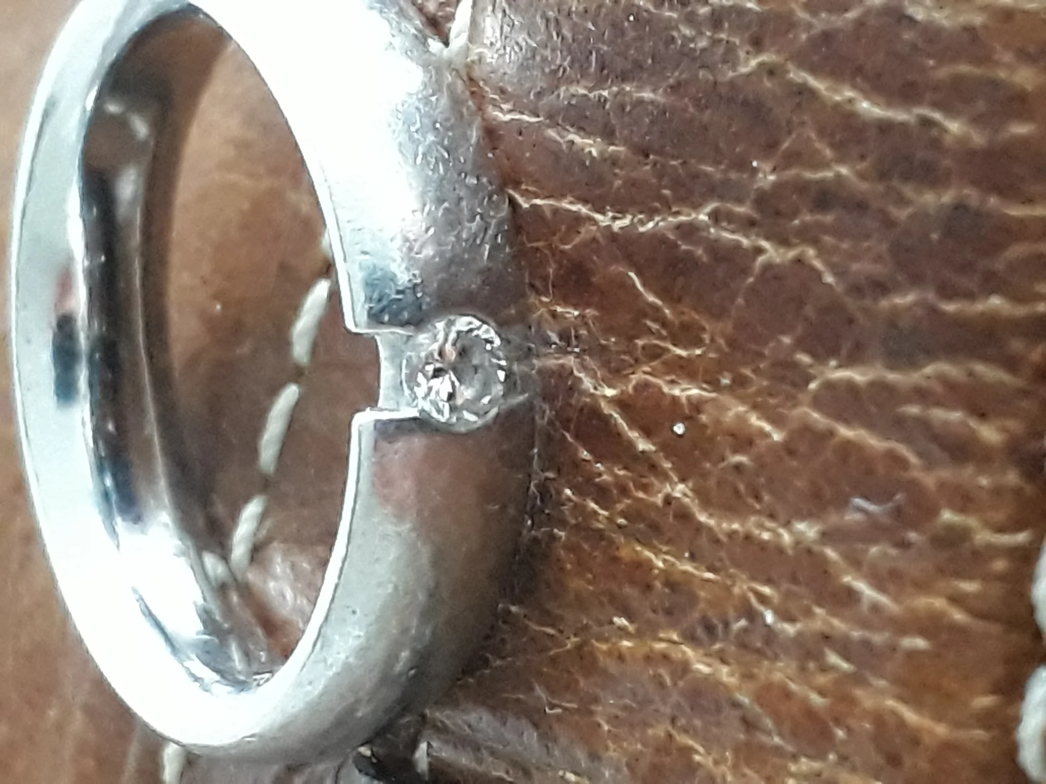 Platinring 1.jpg
