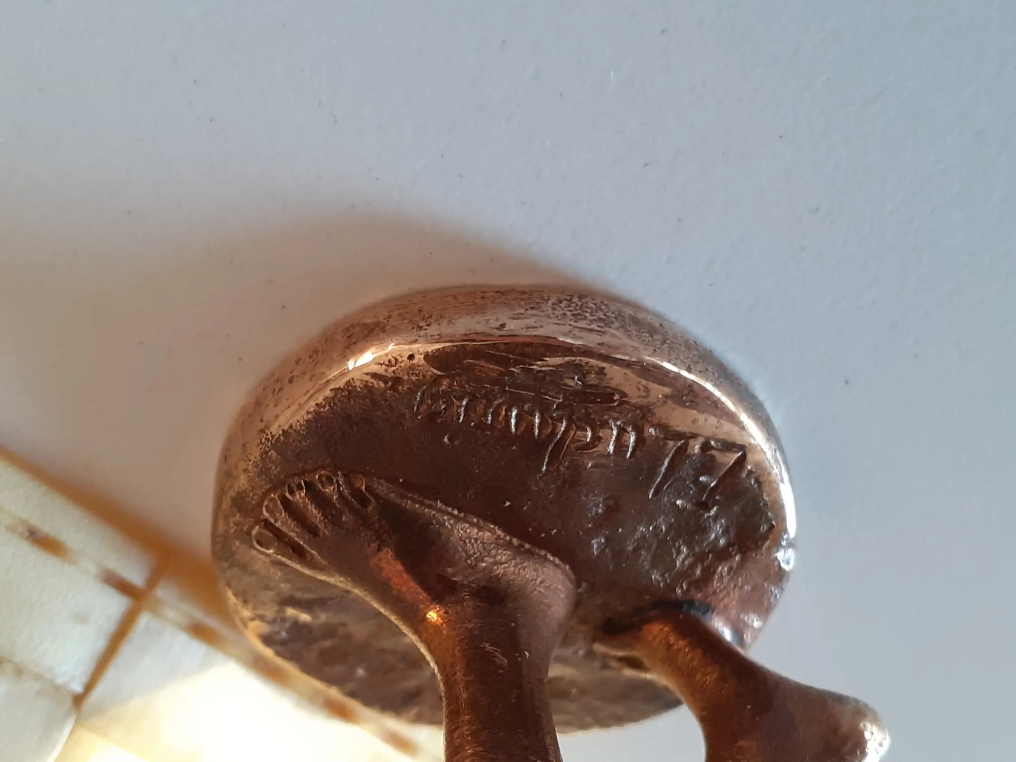 20220601_194937.jpg